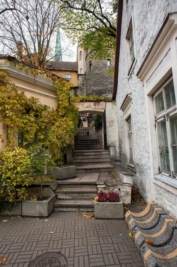 Baltic Accommodation 1 - Rumbi 4-36 Tallinn Exterior foto
